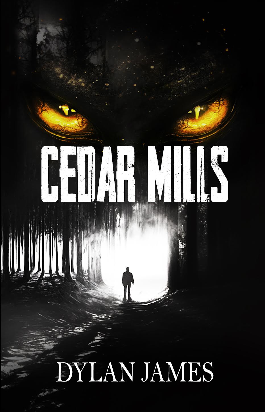 Dylan James: Cedar Mills Review